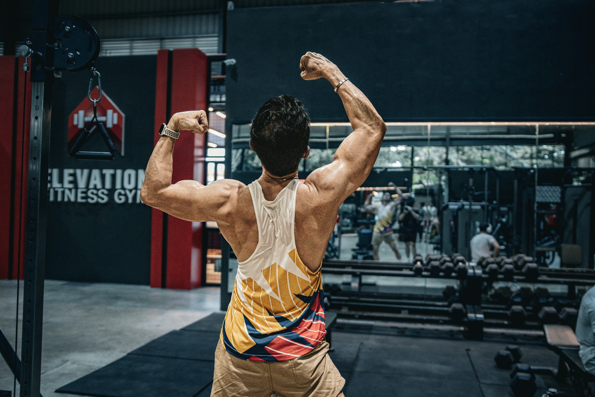 Ronmordellia background